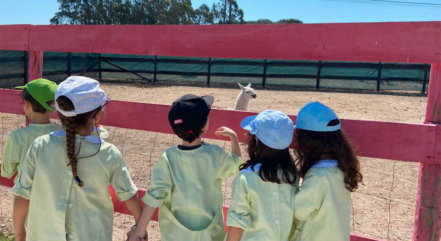 Pequeninos visitam Burros do Magoito